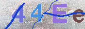 To prevent spam, please prove you are a real person by typing the characters you see in this box into the box below.
