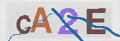 To prevent spam, please prove you are a real person by typing the characters you see in this box into the box below.