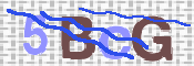 To prevent spam, please prove you are a real person by typing the characters you see in this box into the box below.