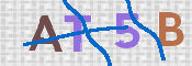 To prevent spam, please prove you are a real person by typing the characters you see in this box into the box below.