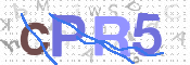 To prevent spam, please prove you are a real person by typing the characters you see in this box into the box below.