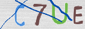 To prevent spam, please prove you are a real person by typing the characters you see in this box into the box below.