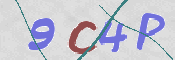 To prevent spam, please prove you are a real person by typing the characters you see in this box into the box below.