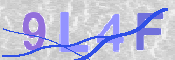 To prevent spam, please prove you are a real person by typing the characters you see in this box into the box below.