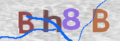 To prevent spam, please prove you are a real person by typing the characters you see in this box into the box below.