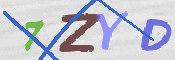 To prevent spam, please prove you are a real person by typing the characters you see in this box into the box below.