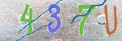 To prevent spam, please prove you are a real person by typing the characters you see in this box into the box below.