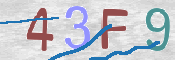 To prevent spam, please prove you are a real person by typing the characters you see in this box into the box below.