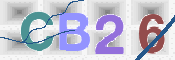 To prevent spam, please prove you are a real person by typing the characters you see in this box into the box below.