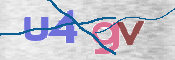 To prevent spam, please prove you are a real person by typing the characters you see in this box into the box below.