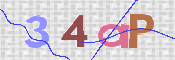 To prevent spam, please prove you are a real person by typing the characters you see in this box into the box below.