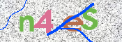To prevent spam, please prove you are a real person by typing the characters you see in this box into the box below.