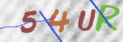 To prevent spam, please prove you are a real person by typing the characters you see in this box into the box below.