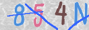 To prevent spam, please prove you are a real person by typing the characters you see in this box into the box below.