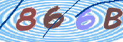 To prevent spam, please prove you are a real person by typing the characters you see in this box into the box below.