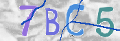 To prevent spam, please prove you are a real person by typing the characters you see in this box into the box below.