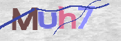 To prevent spam, please prove you are a real person by typing the characters you see in this box into the box below.