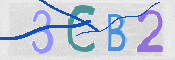 To prevent spam, please prove you are a real person by typing the characters you see in this box into the box below.