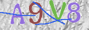 To prevent spam, please prove you are a real person by typing the characters you see in this box into the box below.