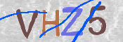 To prevent spam, please prove you are a real person by typing the characters you see in this box into the box below.
