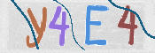 To prevent spam, please prove you are a real person by typing the characters you see in this box into the box below.