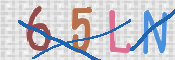To prevent spam, please prove you are a real person by typing the characters you see in this box into the box below.