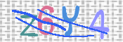 To prevent spam, please prove you are a real person by typing the characters you see in this box into the box below.