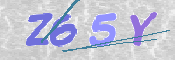 To prevent spam, please prove you are a real person by typing the characters you see in this box into the box below.