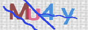 To prevent spam, please prove you are a real person by typing the characters you see in this box into the box below.