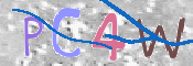 To prevent spam, please prove you are a real person by typing the characters you see in this box into the box below.