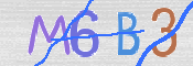 To prevent spam, please prove you are a real person by typing the characters you see in this box into the box below.