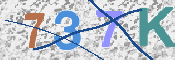 To prevent spam, please prove you are a real person by typing the characters you see in this box into the box below.