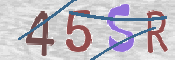 To prevent spam, please prove you are a real person by typing the characters you see in this box into the box below.