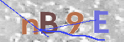 To prevent spam, please prove you are a real person by typing the characters you see in this box into the box below.