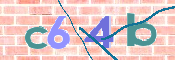 To prevent spam, please prove you are a real person by typing the characters you see in this box into the box below.