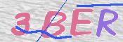 To prevent spam, please prove you are a real person by typing the characters you see in this box into the box below.