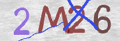 To prevent spam, please prove you are a real person by typing the characters you see in this box into the box below.