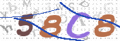 To prevent spam, please prove you are a real person by typing the characters you see in this box into the box below.