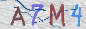 To prevent spam, please prove you are a real person by typing the characters you see in this box into the box below.