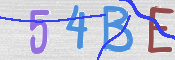 To prevent spam, please prove you are a real person by typing the characters you see in this box into the box below.
