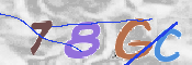 To prevent spam, please prove you are a real person by typing the characters you see in this box into the box below.