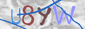 To prevent spam, please prove you are a real person by typing the characters you see in this box into the box below.