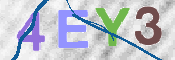 To prevent spam, please prove you are a real person by typing the characters you see in this box into the box below.
