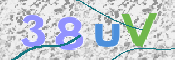To prevent spam, please prove you are a real person by typing the characters you see in this box into the box below.