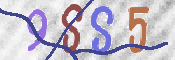 To prevent spam, please prove you are a real person by typing the characters you see in this box into the box below.