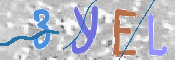 To prevent spam, please prove you are a real person by typing the characters you see in this box into the box below.