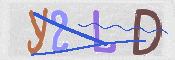 To prevent spam, please prove you are a real person by typing the characters you see in this box into the box below.
