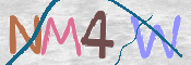 To prevent spam, please prove you are a real person by typing the characters you see in this box into the box below.