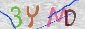 To prevent spam, please prove you are a real person by typing the characters you see in this box into the box below.