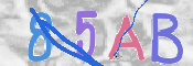 To prevent spam, please prove you are a real person by typing the characters you see in this box into the box below.
